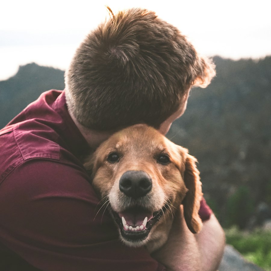 Person hugging a happy golden retriever outdoors