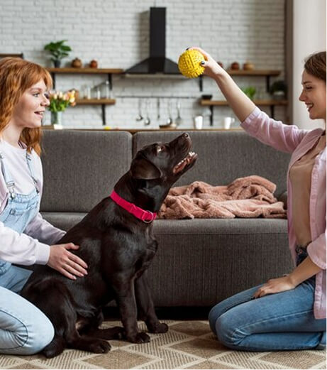 Pet Training Sessions